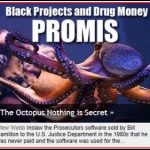 Octopus-Nothing-is-Secret