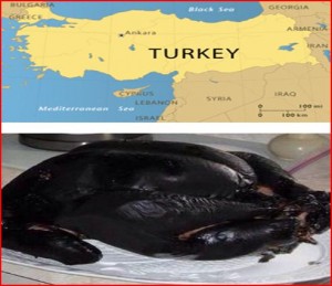 Turkey-Burned-by-Russia