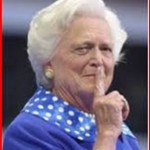Barbra-Bush