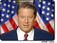 Al Gore Flags